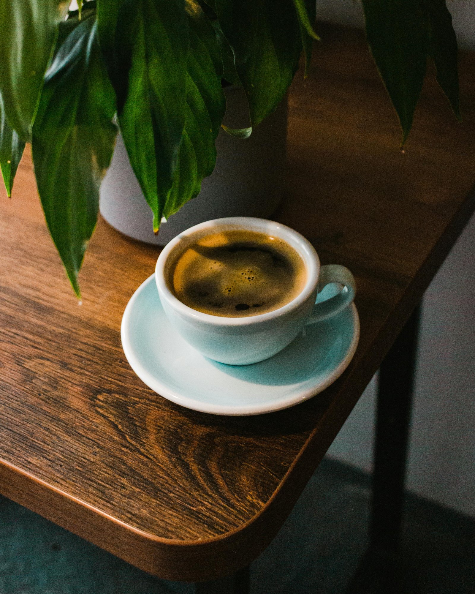 Americano (Hot & Ice) 